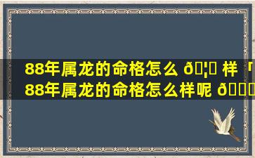 88年属龙的命格怎么 🦅 样「88年属龙的命格怎么样呢 🐛 」